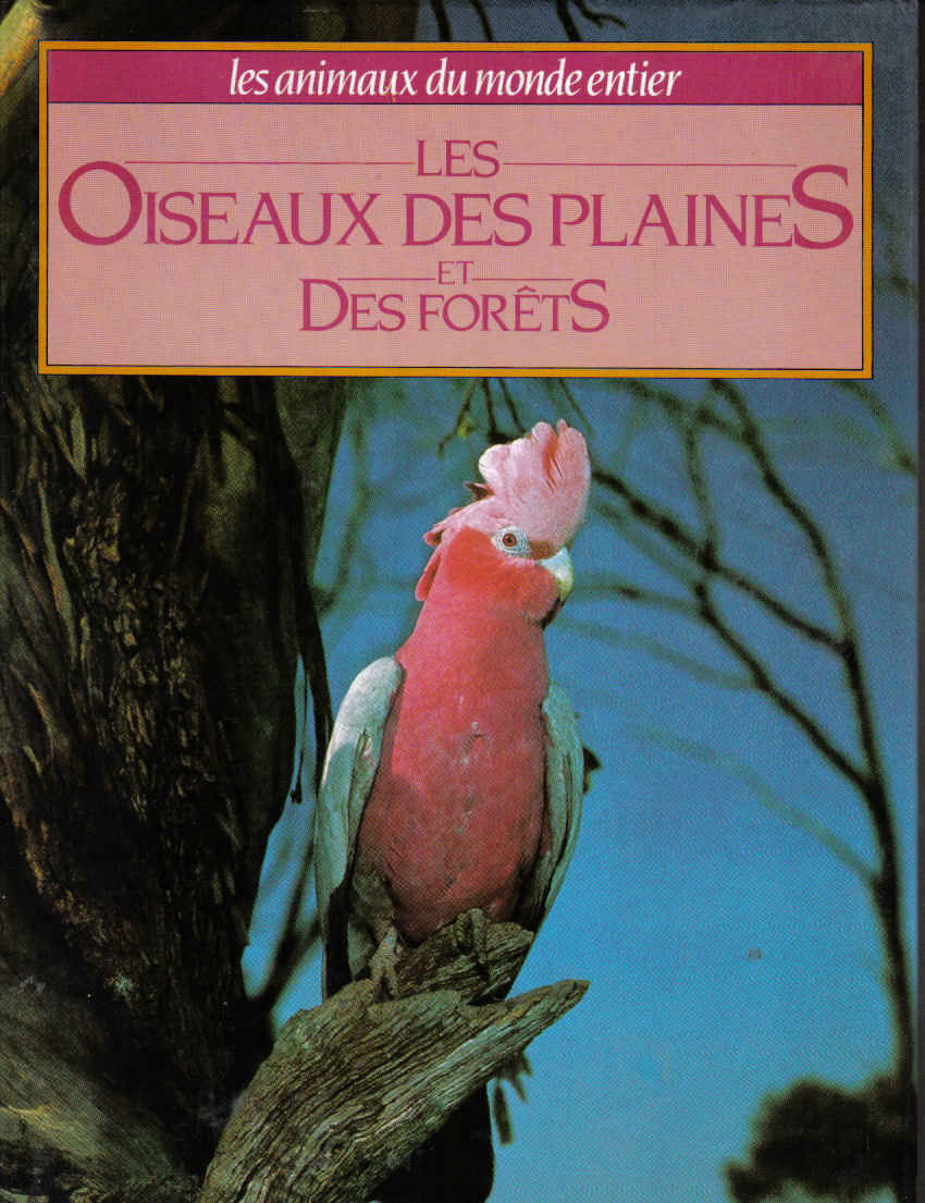 oiseaux_et_des_plaines_et_forêts